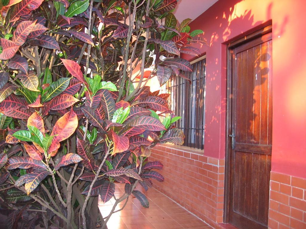 Alecrin Apart Puerto Iguazú Extérieur photo